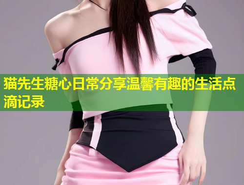 猫先生糖心日常分享温馨有趣的生活点滴记录  第1张