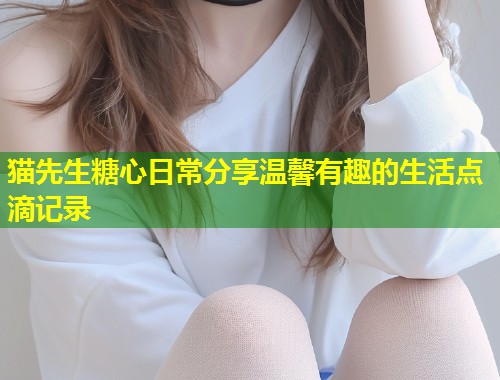 猫先生糖心日常分享温馨有趣的生活点滴记录  第2张